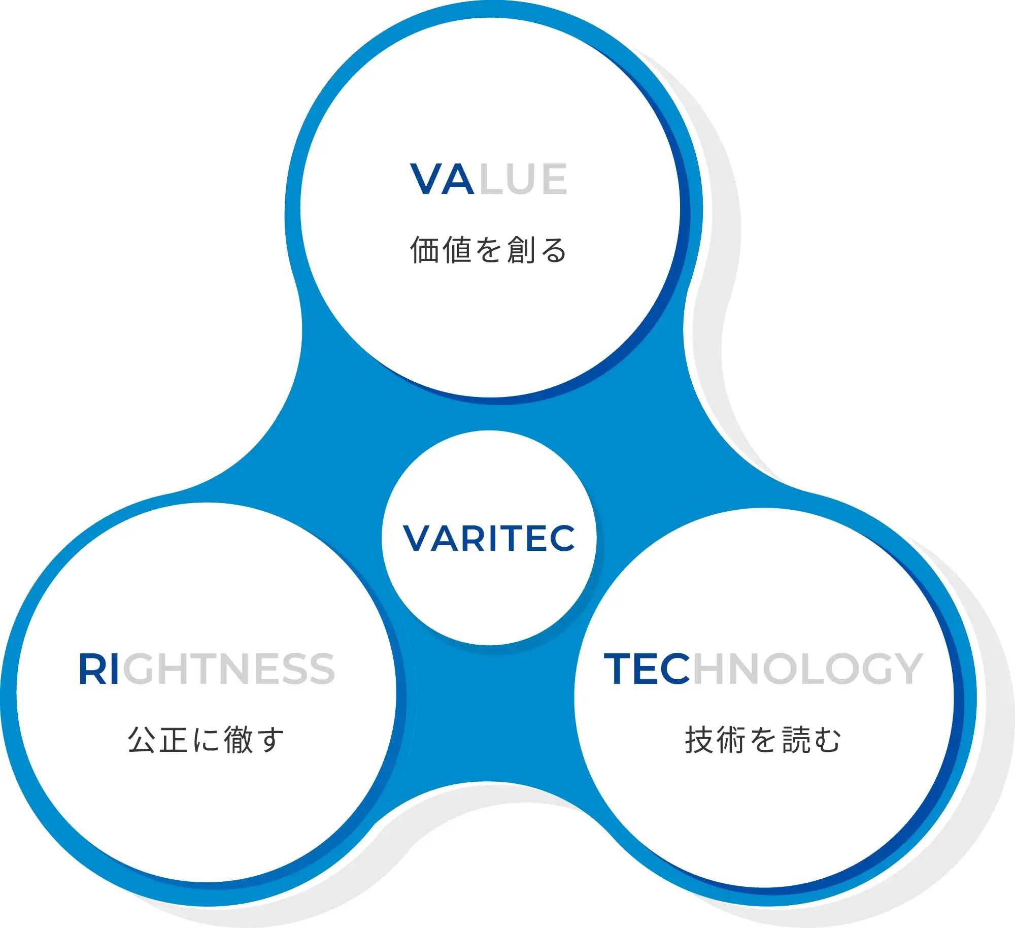 株式会社 VARITEC